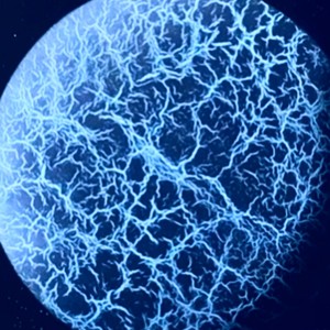 Tony Bradley - Crackle With Life