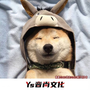 寂寞沾染繁华
