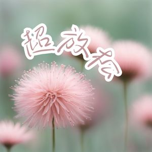 超放松 - 轻柔的新世纪音乐为了休息时间