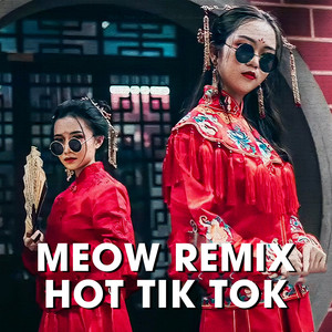 MEOW Bolero Remix Hot Tik Tok