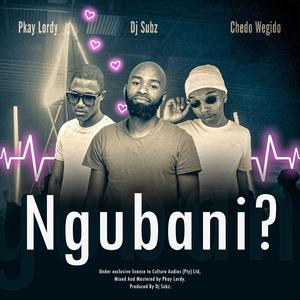 Ngubani? (feat. Dj Subz, Chedo Wegido & Pkay Lordy)