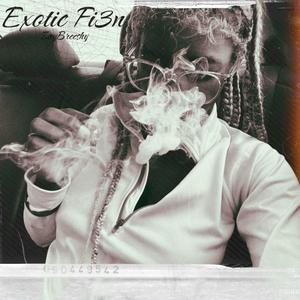 Exotic Fi3n (Explicit)