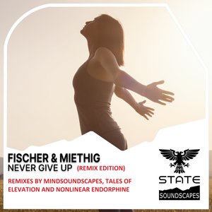 Never Give Up (Tales Of Elevation Remix)