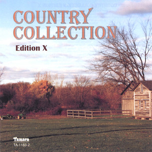 Angel Caught Up In A Web