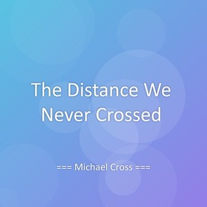 The Distance We Never Crossed