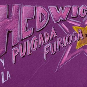 Hedwig y la pulgada furiosa (Música Original de la Obra Teatral)