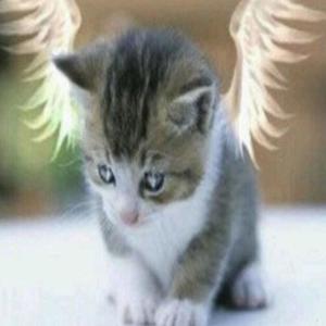 laska je laska (feat. eri) (Explicit)