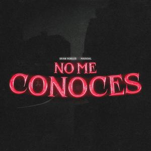 No Me Conoces (feat. Marioal)