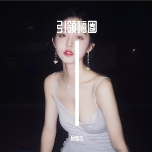 引领嗨圈 (Remix)