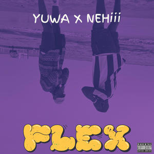 Flex (Explicit)