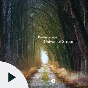 Universal Streams (Original Mix)