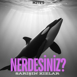 Nerdesiniz?