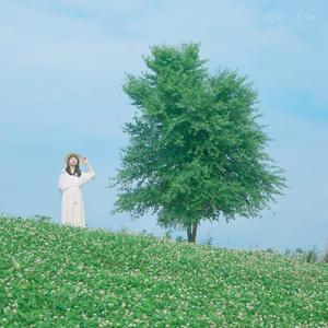 가을이 오는 소리 (The sound of autumn)