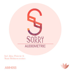 Sorry (Remixes)