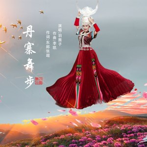 丹寨舞步