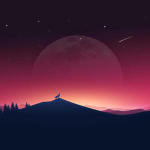 In Madness Lies Sanity