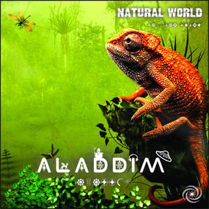 Shaman (Hyper Noise Remix)