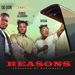 Reasons (Explicit)