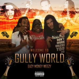 Welcome to Gully World