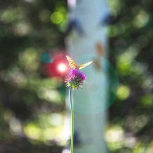 we purposely trained him wrong (as a joke) (Explicit)