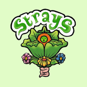 Strays