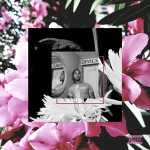 Jungle Paradigm (Explicit)