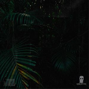 Jungle (feat. D. Mestizo & Elijah Quinn) [Explicit]