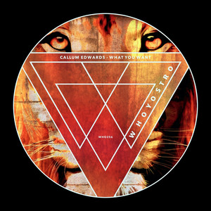 Where Did You Go (Original Mix)