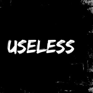 Useless (feat. VodNLB & kloud9inekali) [Explicit]