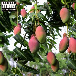 Mango Red (Explicit)