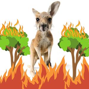 Australian Fire Aid (Explicit)