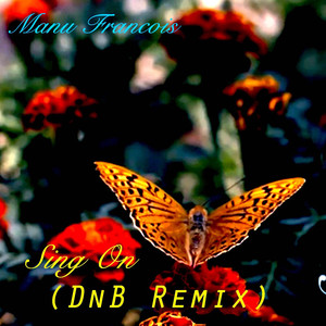 Sing on (DnB remix)
