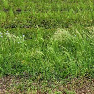 betrayal (feat. ohmace) (Explicit)