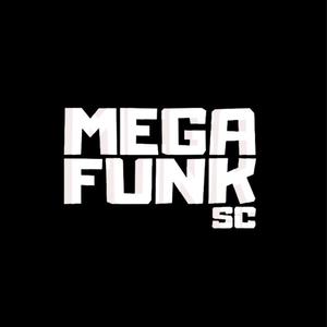 Mega Funk De Raul (Explicit)