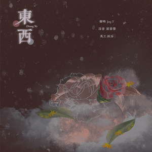 东西（JT原唱:）