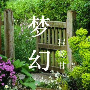 梦幻华尔兹（Dream Waltz）