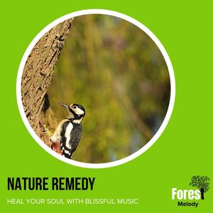 Nature Remedy - Heal Your Soul with Blissful Music