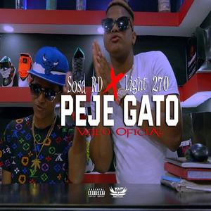 Peje Gato (feat. Light 270)