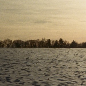 the yellow calm