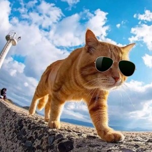 命运你做出了他的选择 (Remix)