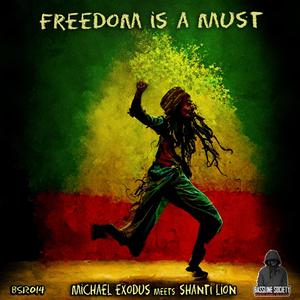 Freedom is a must (feat. Shanti Lion)