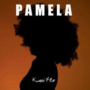 PAMELA (Explicit)