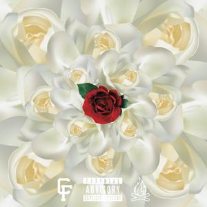 Retro Flowers (Explicit)