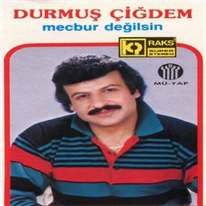 Mecbur De?Ilsin