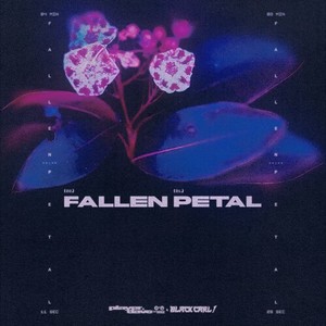 Fallen Petal