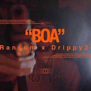 BOA (feat. Ransom) (Explicit)