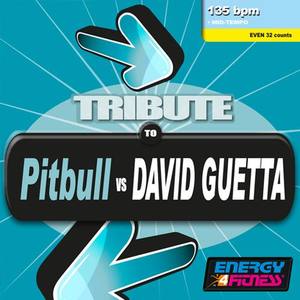 TRIBUTE TO PITBULL VS DAVID GUETTA