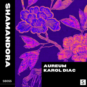 Shamandora (Original Mix)