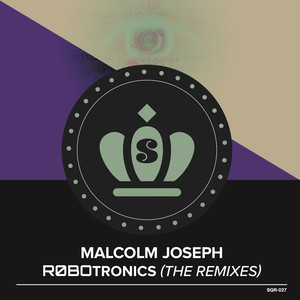 Robotronics (Jake Vertigo's Robo Vocal Mix)