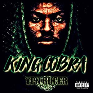 KING COBRA (Explicit)